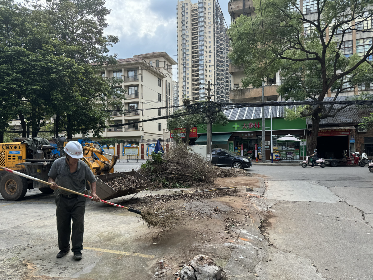 榕树倒下砸中5辆小车，谁来担责？