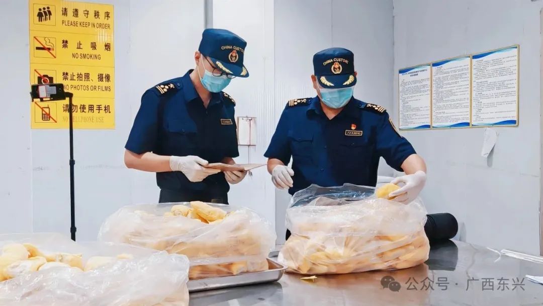 广西首票越南进口冷冻榴莲肉从东兴口岸入境(图3)