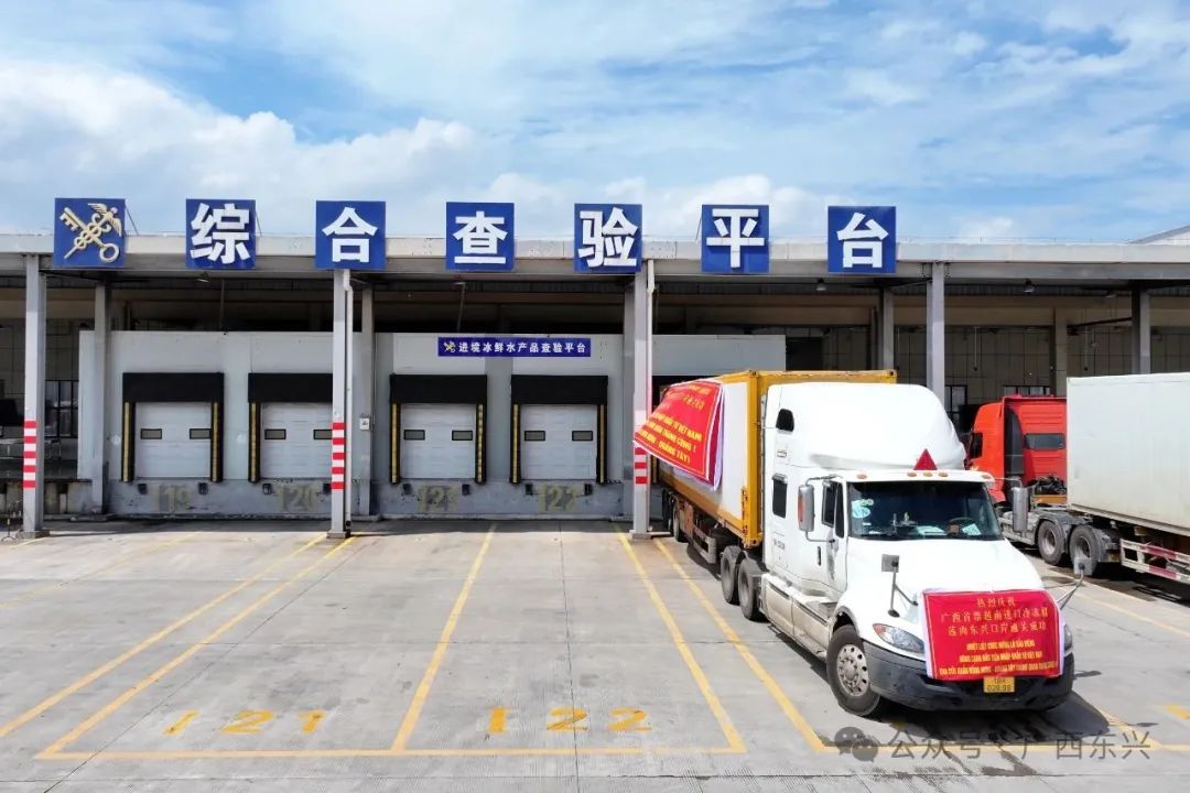 广西首票越南进口冷冻榴莲肉从东兴口岸入境(图2)