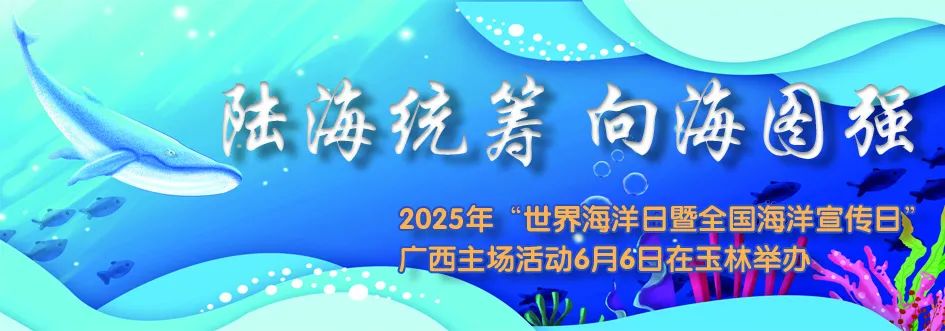 南方沿海城市群中的“破浪者”：玉林向海图强闯新路