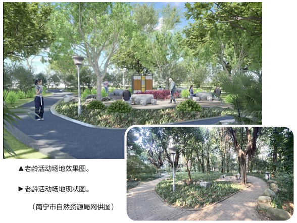 新增健身驿站！南宁市金花茶公园配套设施拟提升改造(图1)