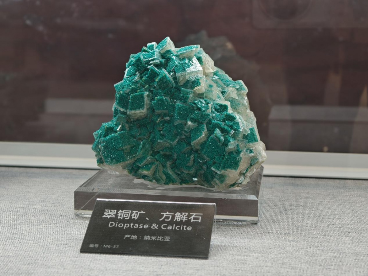 展期至8月31日！一批国内外矿石展品亮相南宁