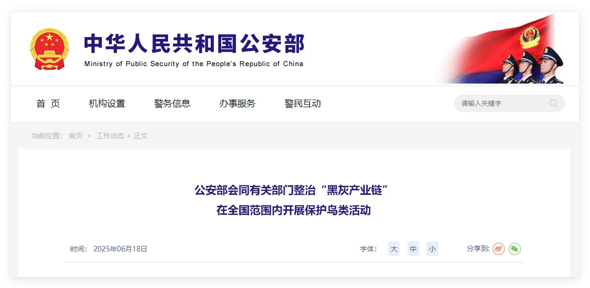 在“唧唧啾啾”声里一起认识国家一级保护的野生鸟类(图1)