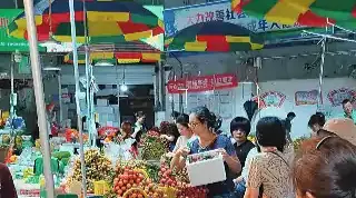 ������ʵ��ˮ�����ɣ����ж�Ʒ����֦�ڵ��㣡