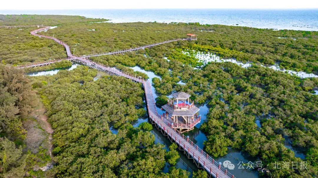 北海、桂林上榜中国康养20强市还有这些地方入选百强县（市、区）(图3)