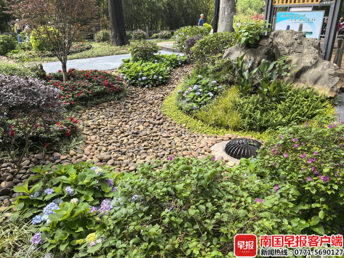 桂林这个条例将于7月1日起施行！与你生活息息相关(图3)