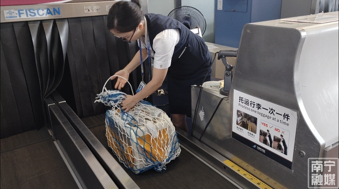 7月起南宁部分航班可带“毛孩子”进客舱啦(图2)