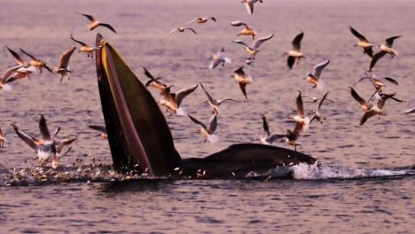 �V������h(hu��n)���O(ji��n)�y����վ�ԡ��L��IP���cȼ�o������