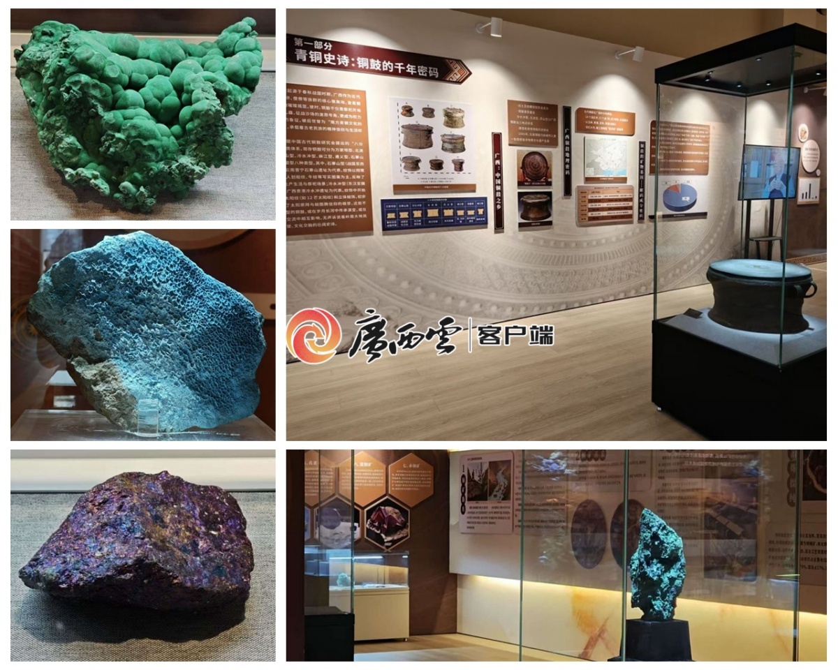 kaiyun网站：庞贝文物、毕加索作品……这个暑假来广西带你“下馆子”(图4)