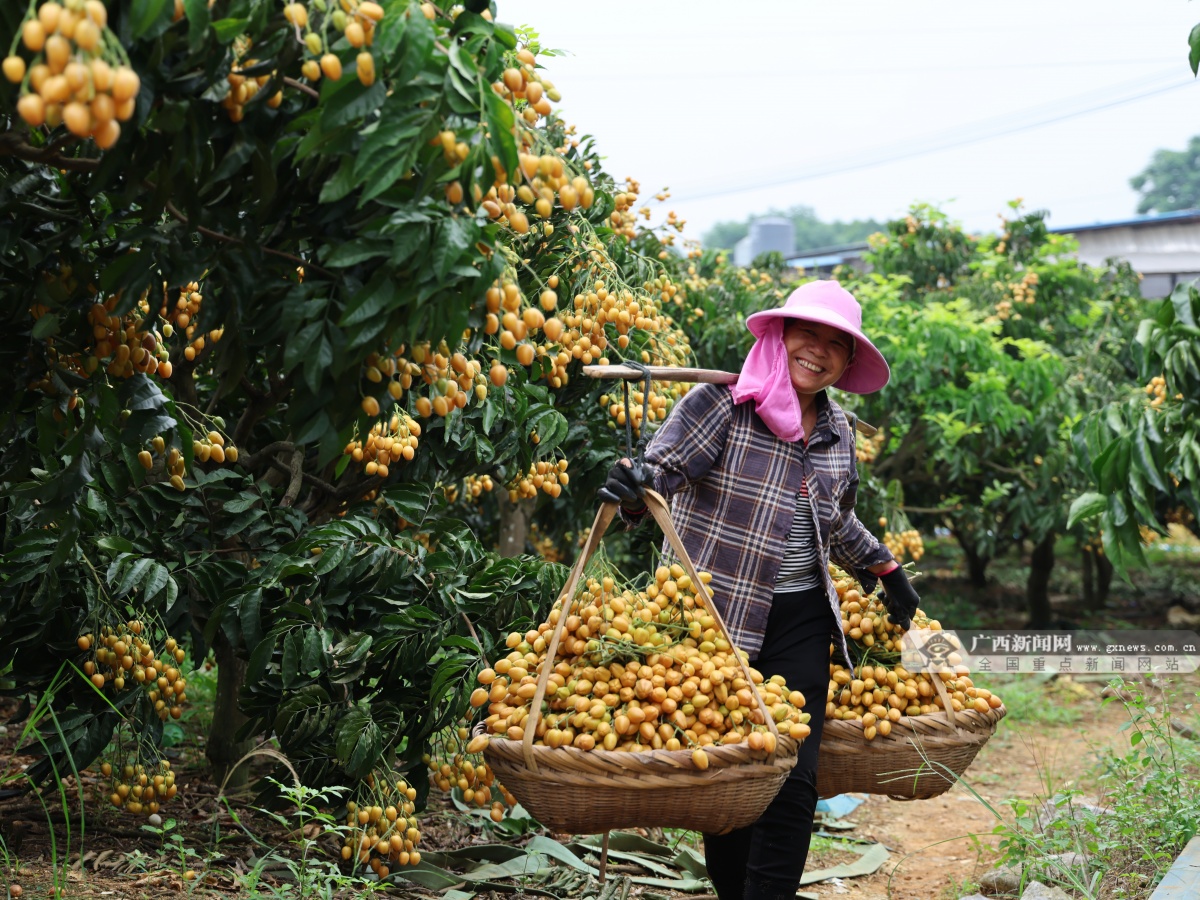 7��14�ս���ͼ