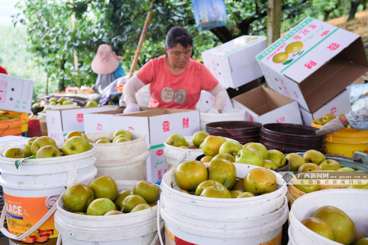 7��14�ս���ͼ