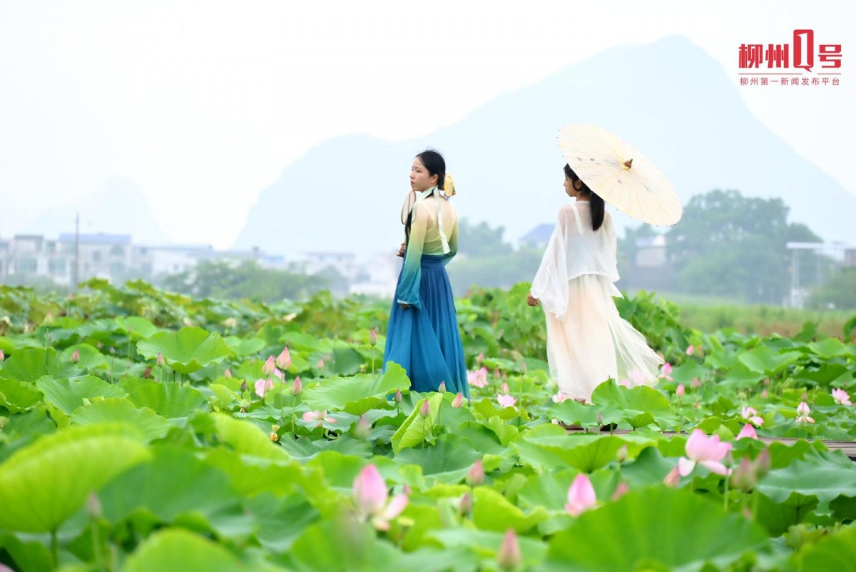 7��14�ս���ͼ