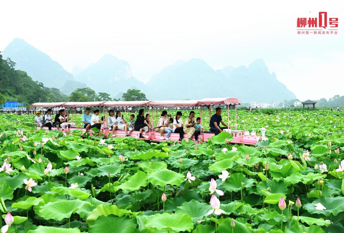 7��14�ս���ͼ