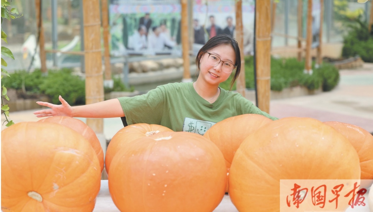 7��14�ս���ͼ