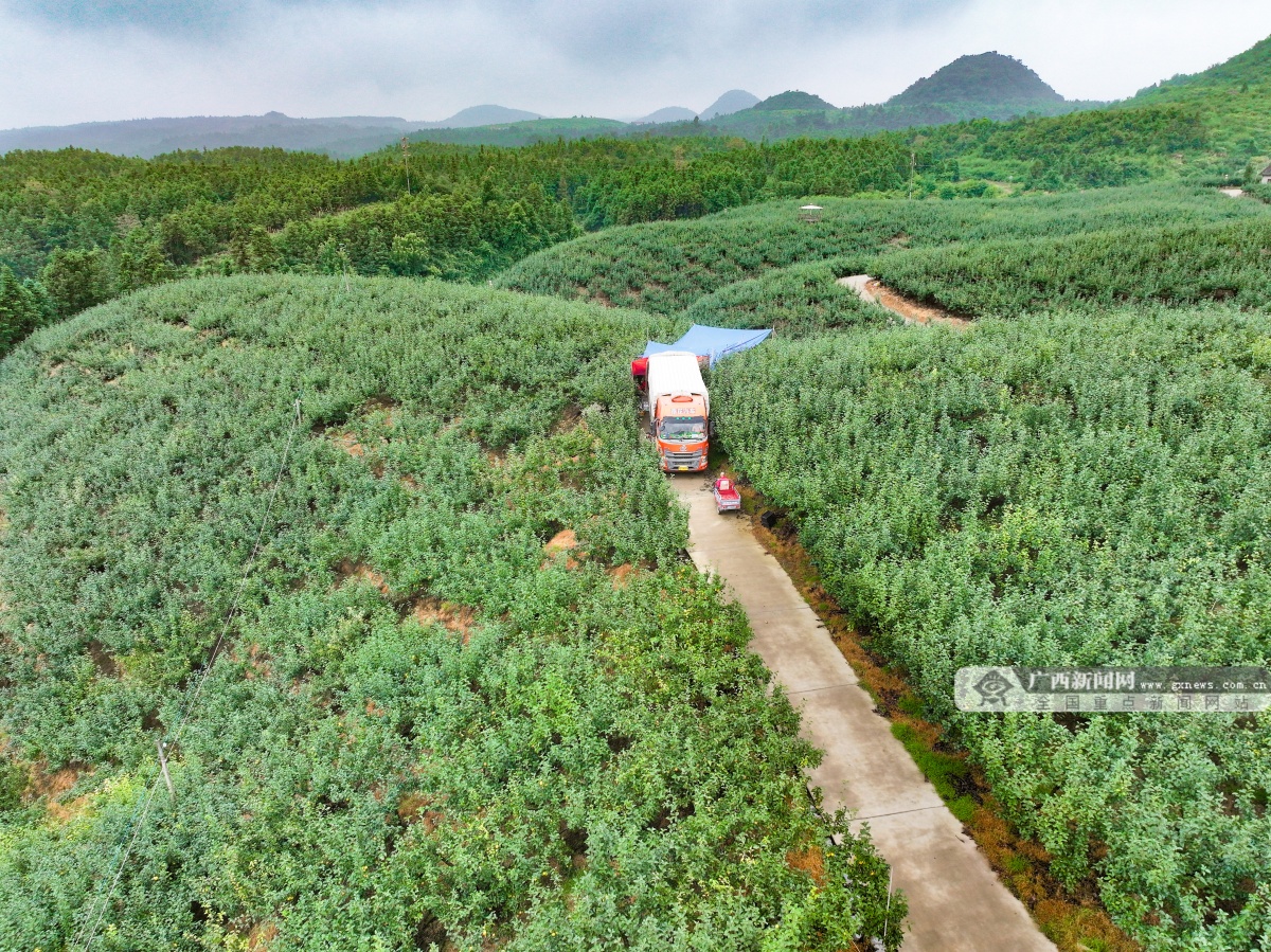 7��14�ս���ͼ