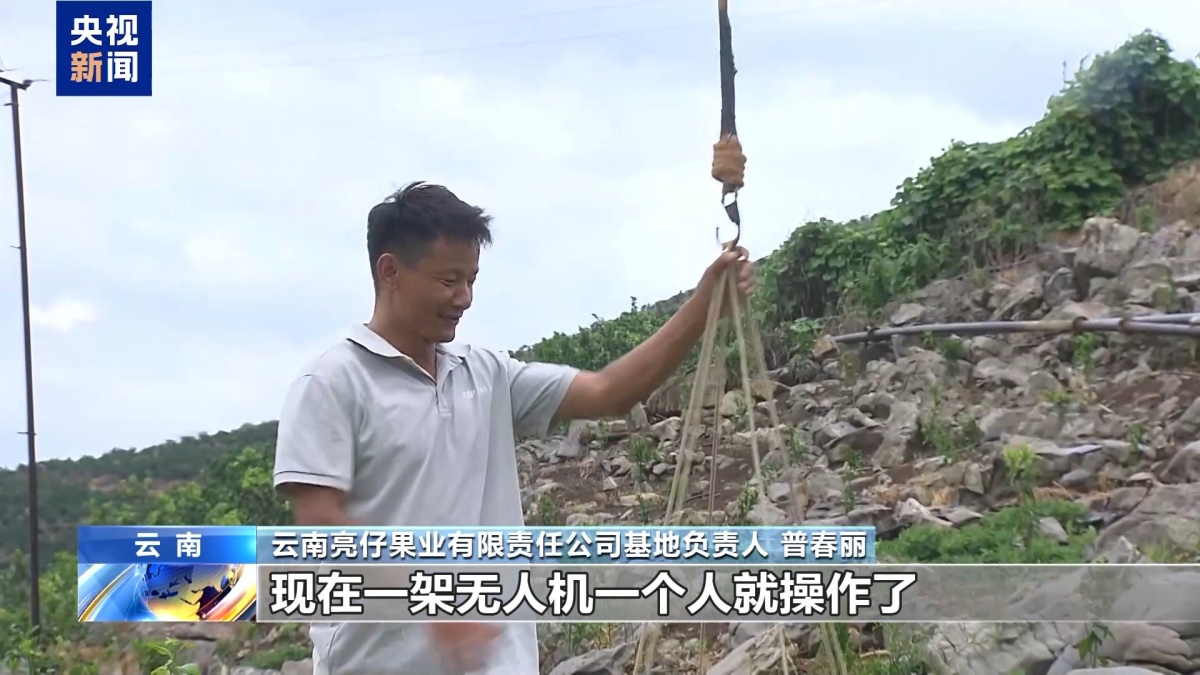 夏日水果便宜了！广西果农升级品种玩转深加工(图9)