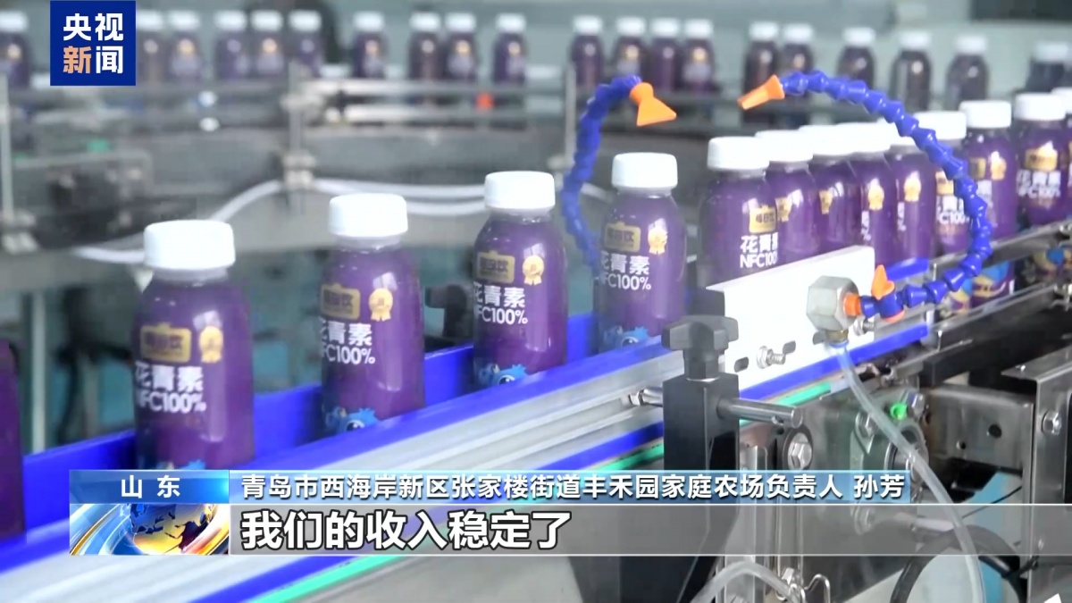 夏日水果便宜了！广西果农升级品种玩转深加工(图8)