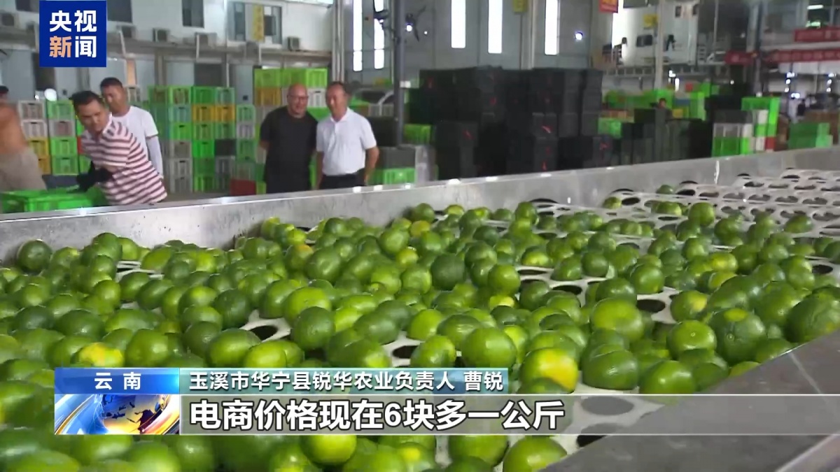 夏日水果便宜了！广西果农升级品种玩转深加工(图11)