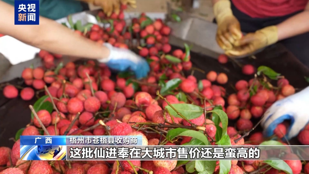 夏日水果便宜了！广西果农升级品种玩转深加工(图5)