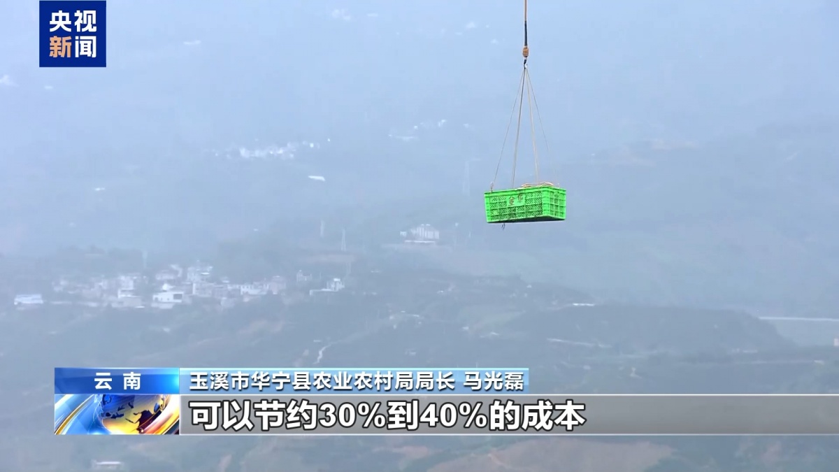 夏日水果便宜了！广西果农升级品种玩转深加工(图10)