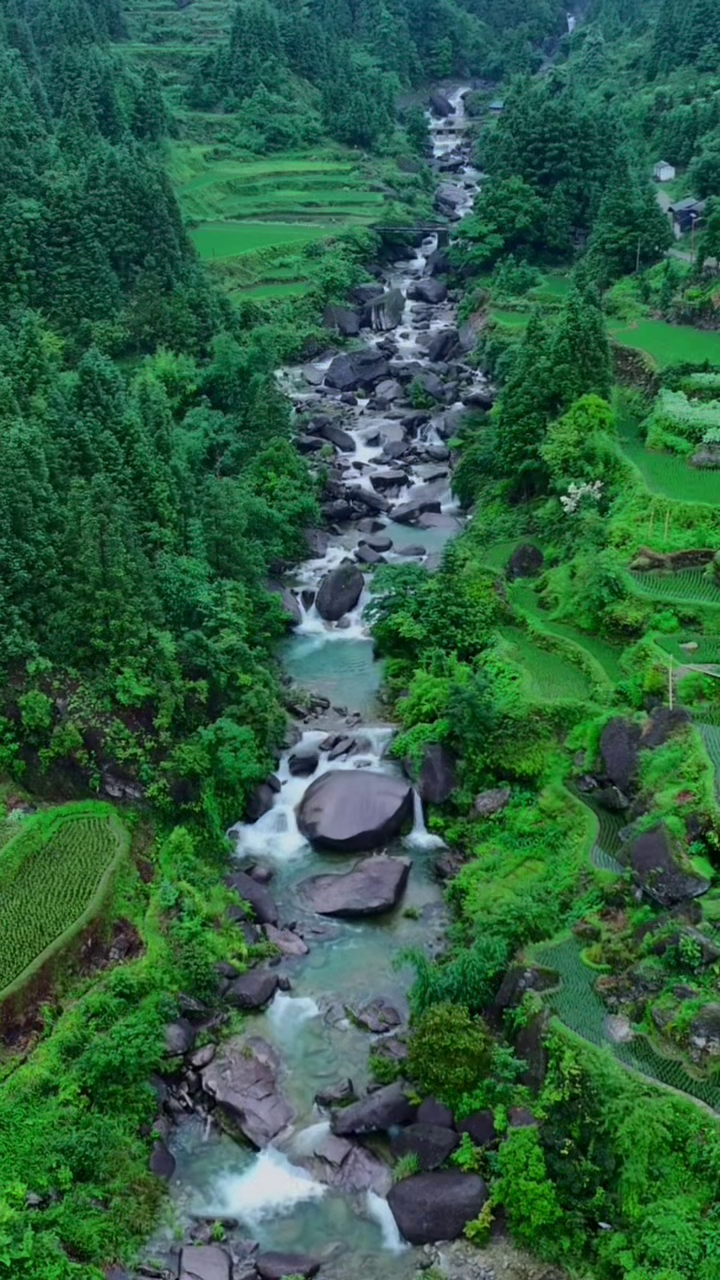八桂避暑有“凉方”③丨“宝藏凉县”等你来(图20)