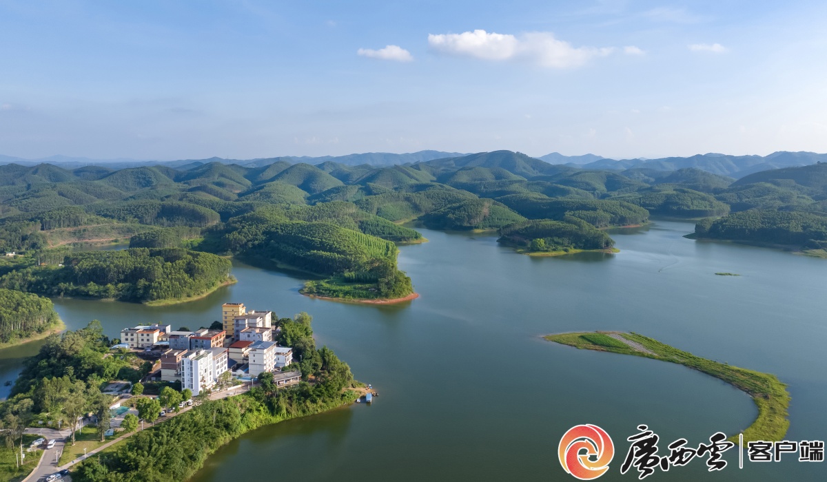 辉煌“十四五”壮美新答卷丨以水养鱼以鱼净水——广西积极探索大水面生态渔业发展模式(图2)