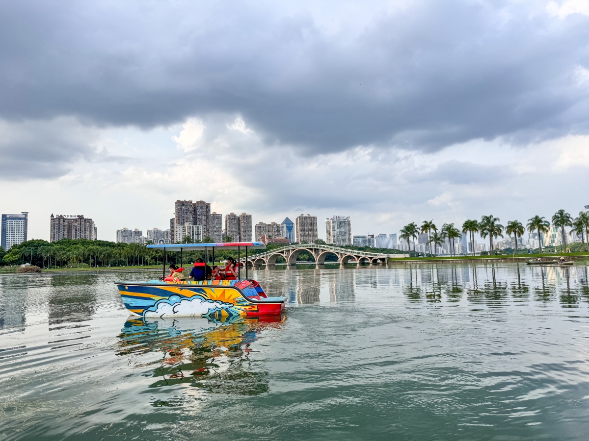 南湖公园游船项目重启，百米安全线守护“鸟类天堂”