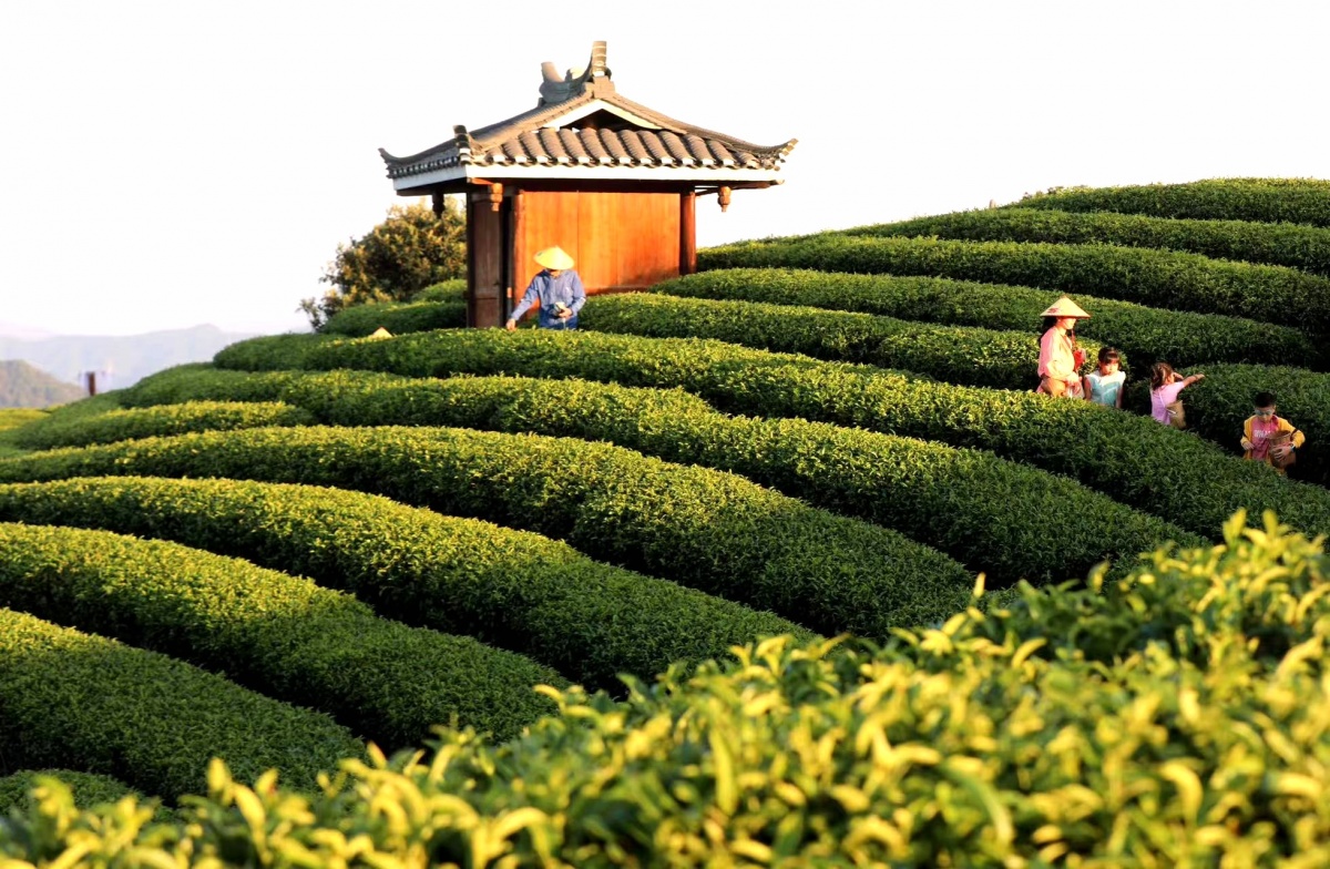 ����ɽ���������20�����ر𱨵���������˵���ɫ����