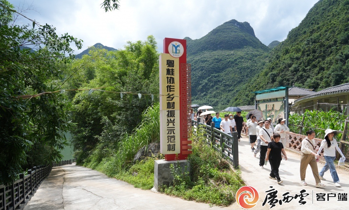 手把手教技能丨粤桂协作都安电商直播培训开课(图2)