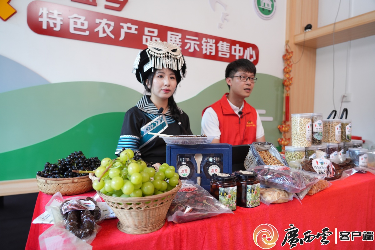 手把手教技能丨粤桂协作都安电商直播培训开课(图9)