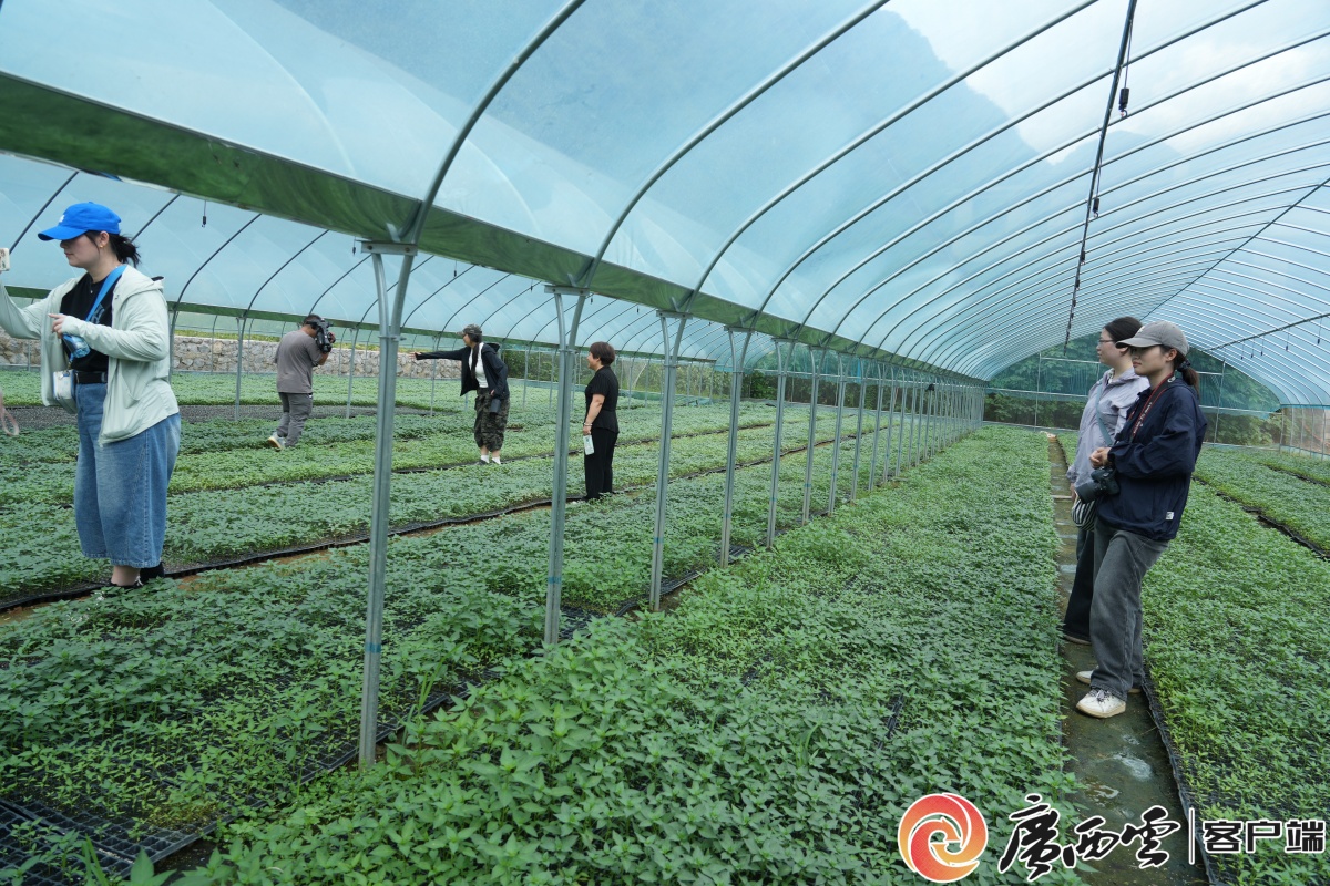 手把手教技能丨粤桂协作都安电商直播培训开课(图4)