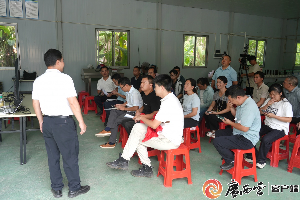 手把手教技能丨粤桂协作都安电商直播培训开课(图5)