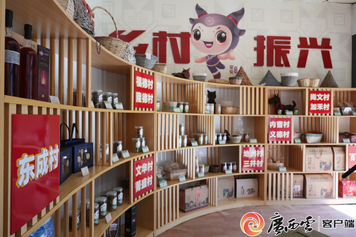 手把手教技能丨粤桂协作都安电商直播培训开课(图11)