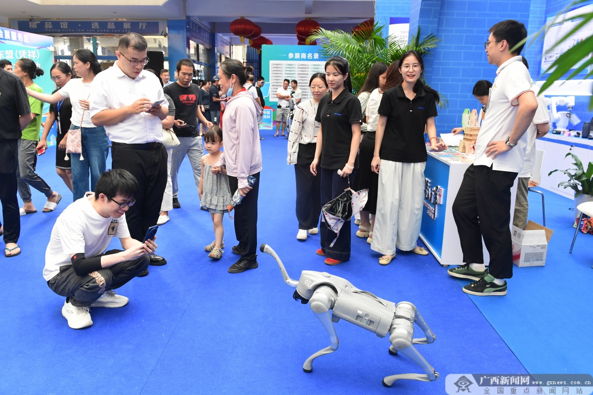 2025年中国·东盟（凭祥）进出口商品交易推介活动开幕(图2)