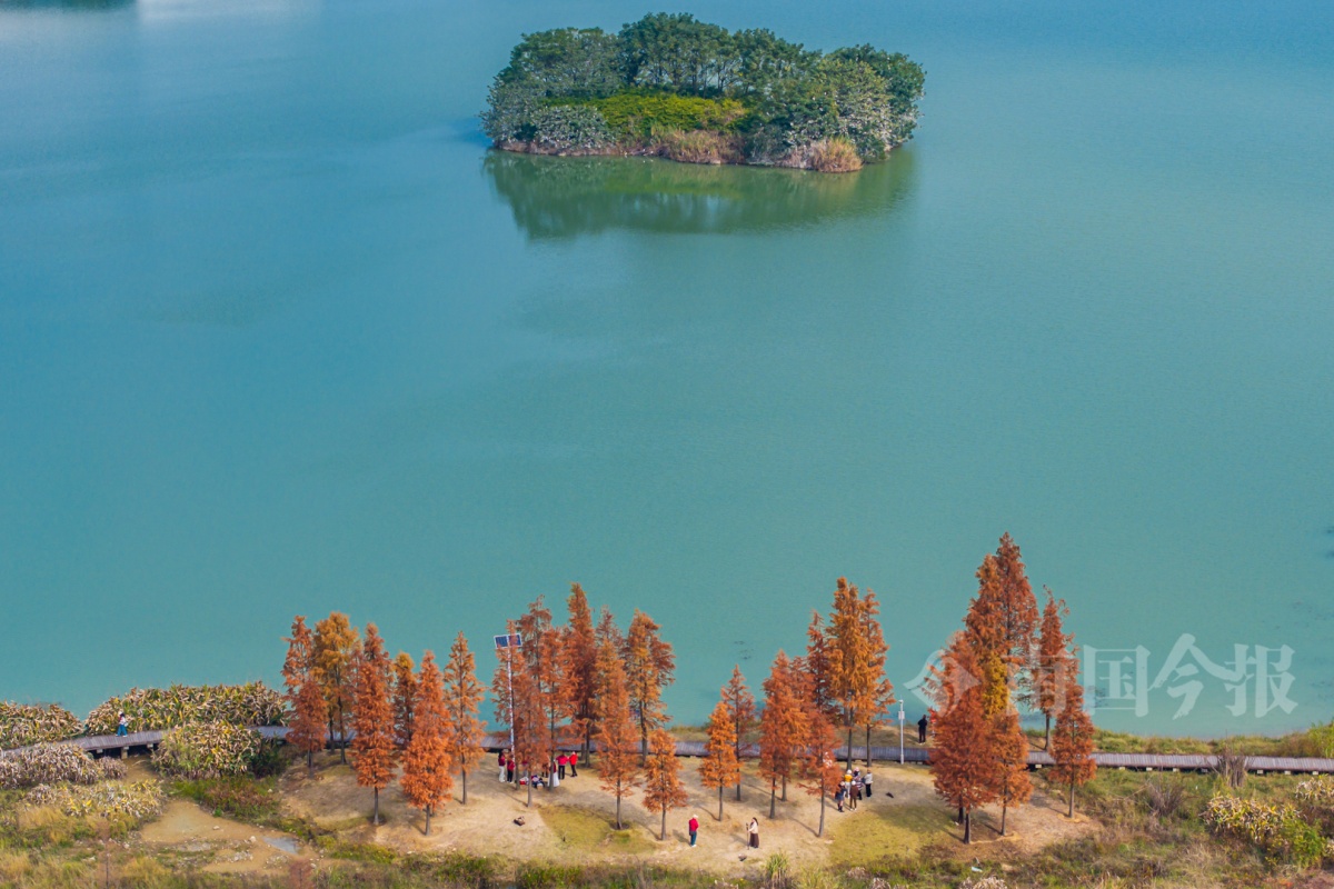 柳州2025年秋季气候预测出炉！初次寒露风什么时候出现？(图1)