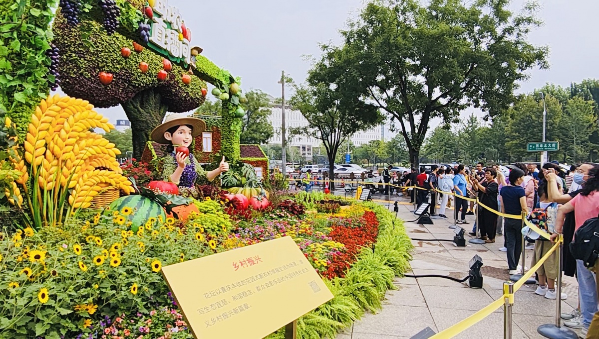 8��31�ս���ͼ