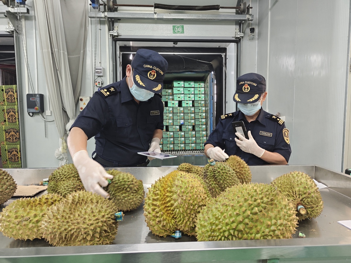 Kaiyun中国:同比增长超3倍!广西这个口岸通道1—7月进出口货值超24亿元