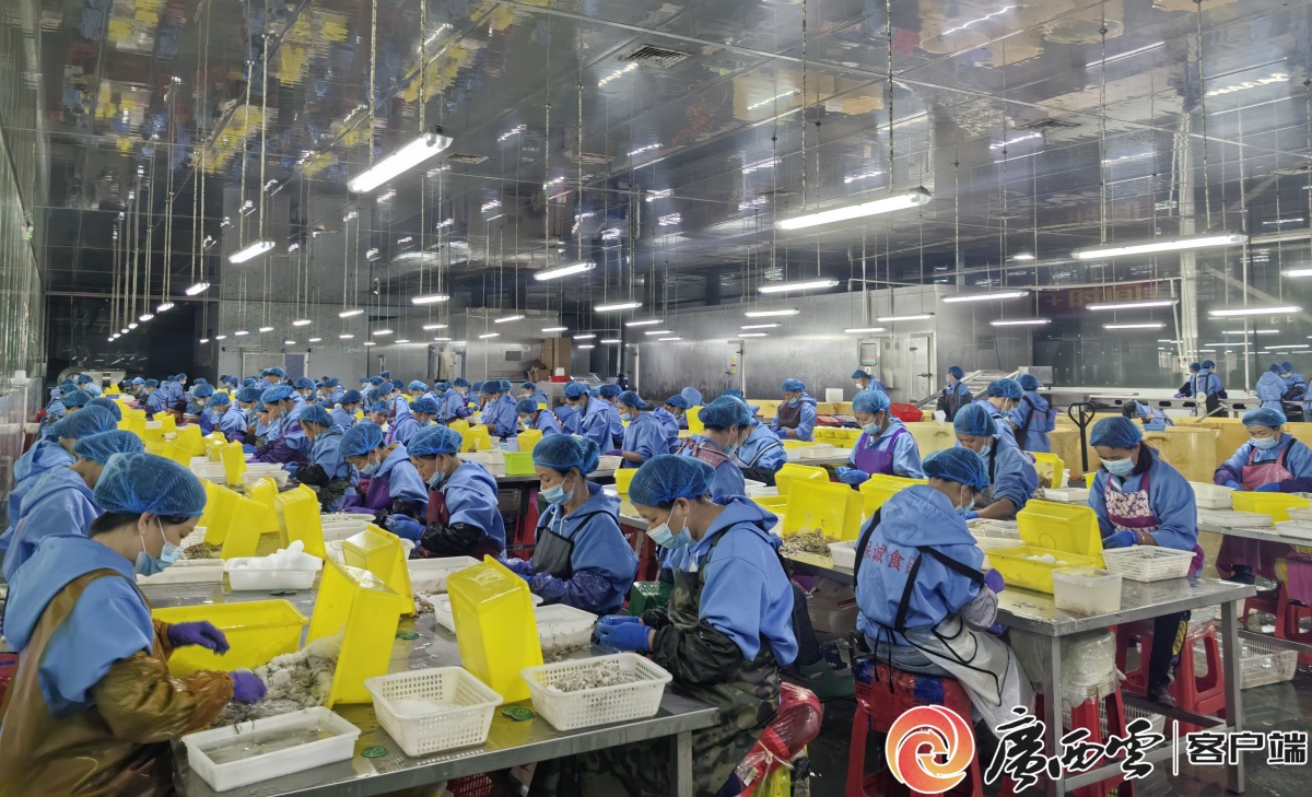 《新华每日电讯》关注丨一江连两广携手奔康庄(图2)