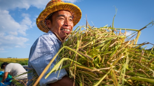 ɽڽSﵾ (tng)l(xing)S