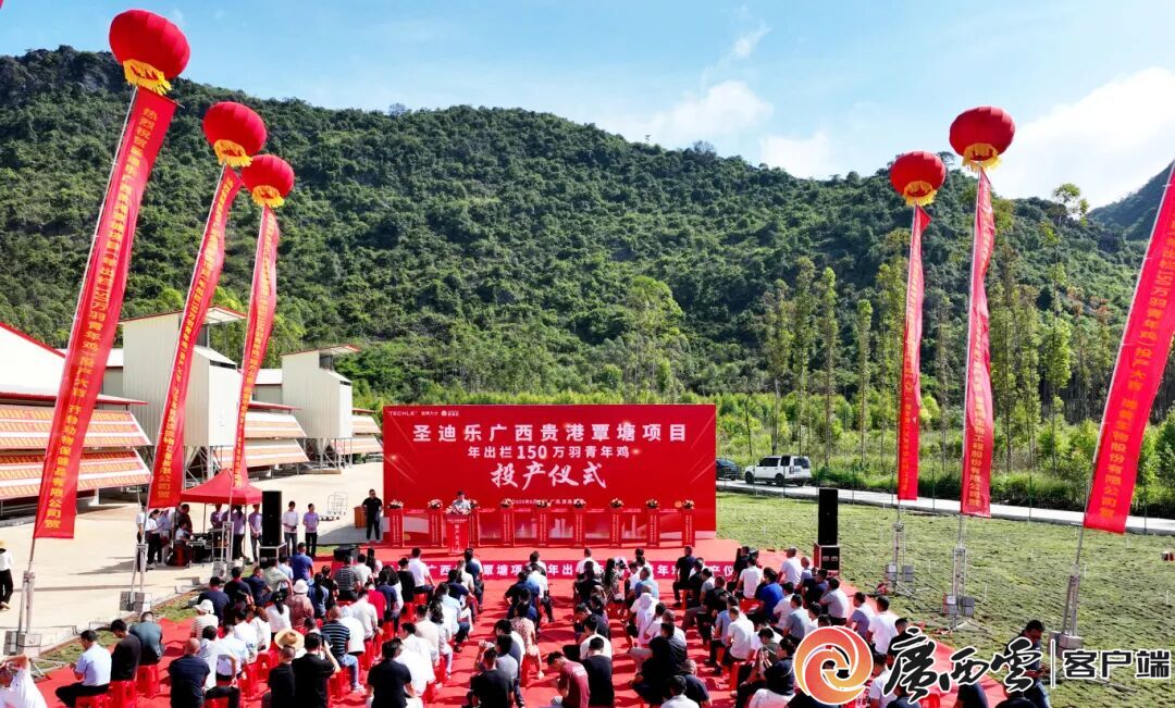 覃塘区年出栏150万羽青凯发旗舰厅年鸡项目正式投产