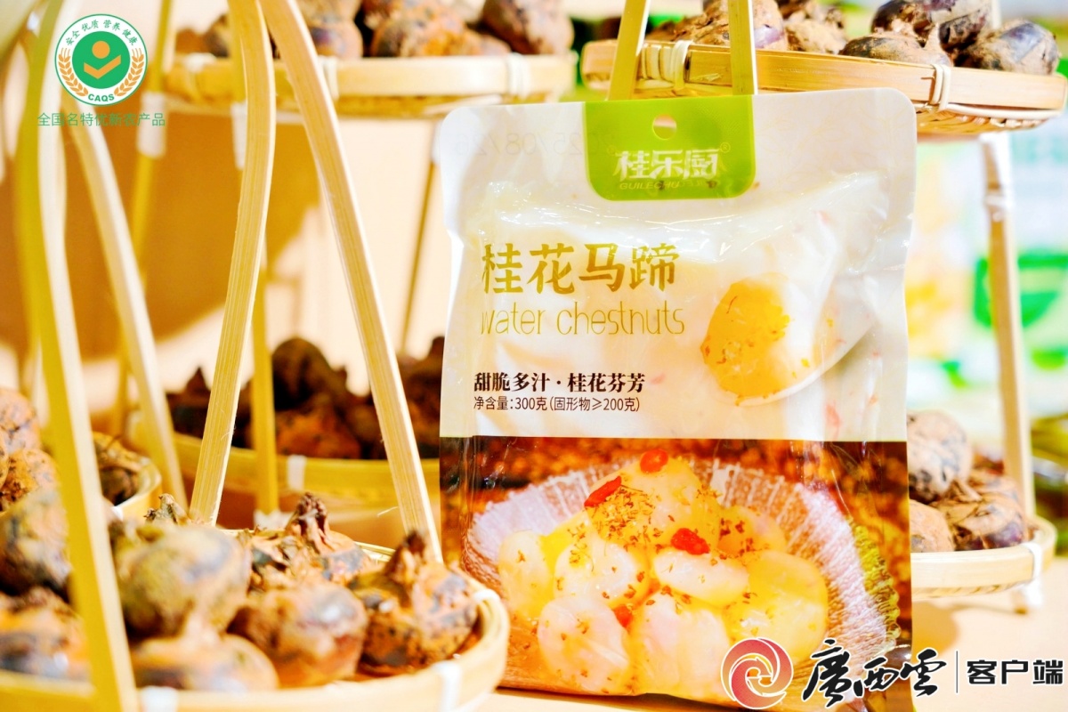 50亿身价的“广西明星”出征厦门这颗带桂花香的小马蹄闯世界撬动市场(图3)