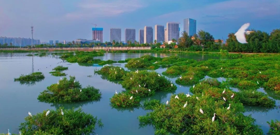 入选全国“领跑县”北海银海区成新标杆！(图2)