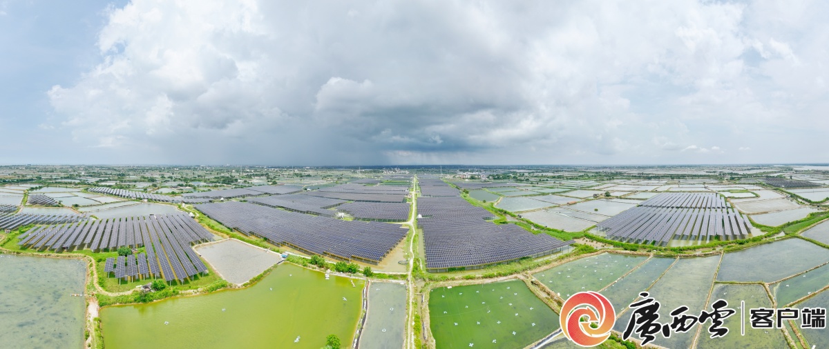 合辑｜从一次丰收盛会看沿海县的“山海经”(图2)