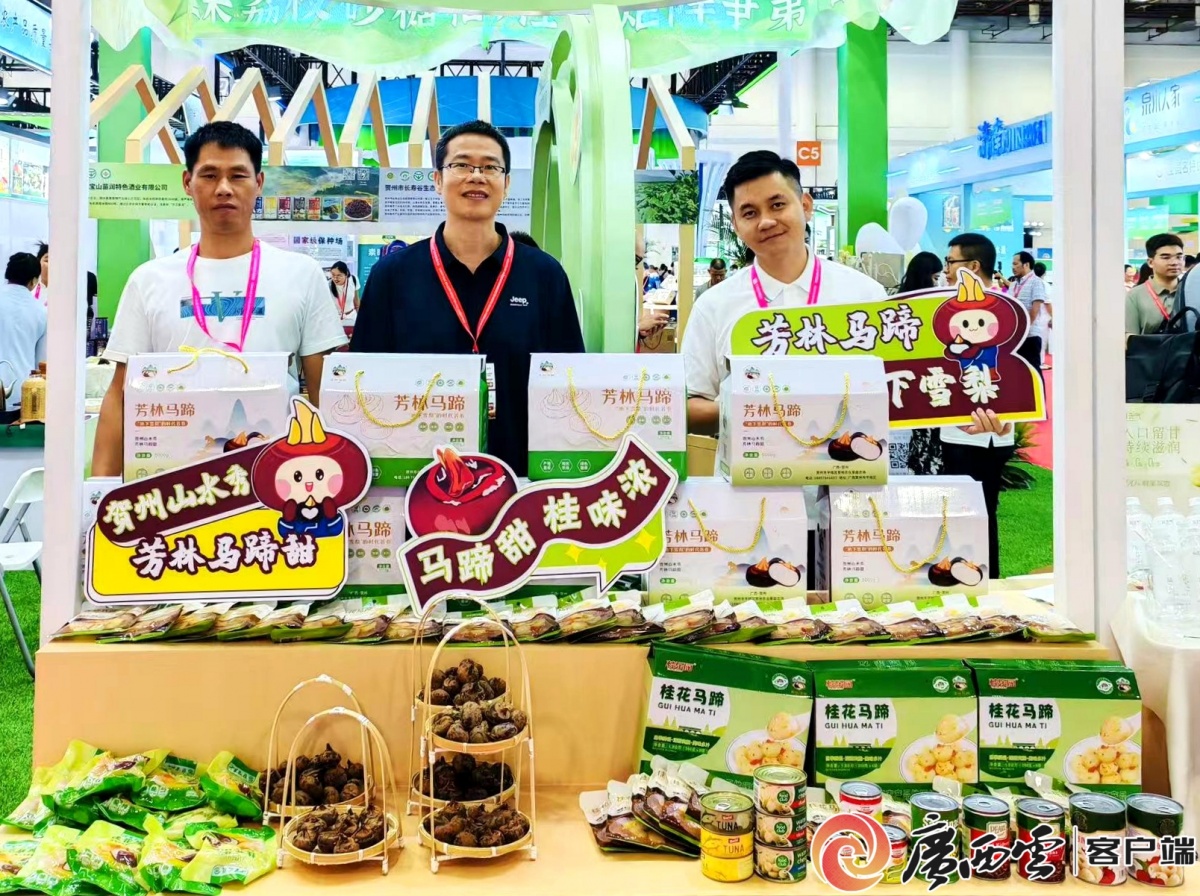 50亿身价的“广西明星”出征厦门这颗带桂花香的小马蹄闯世界撬动市场(图4)
