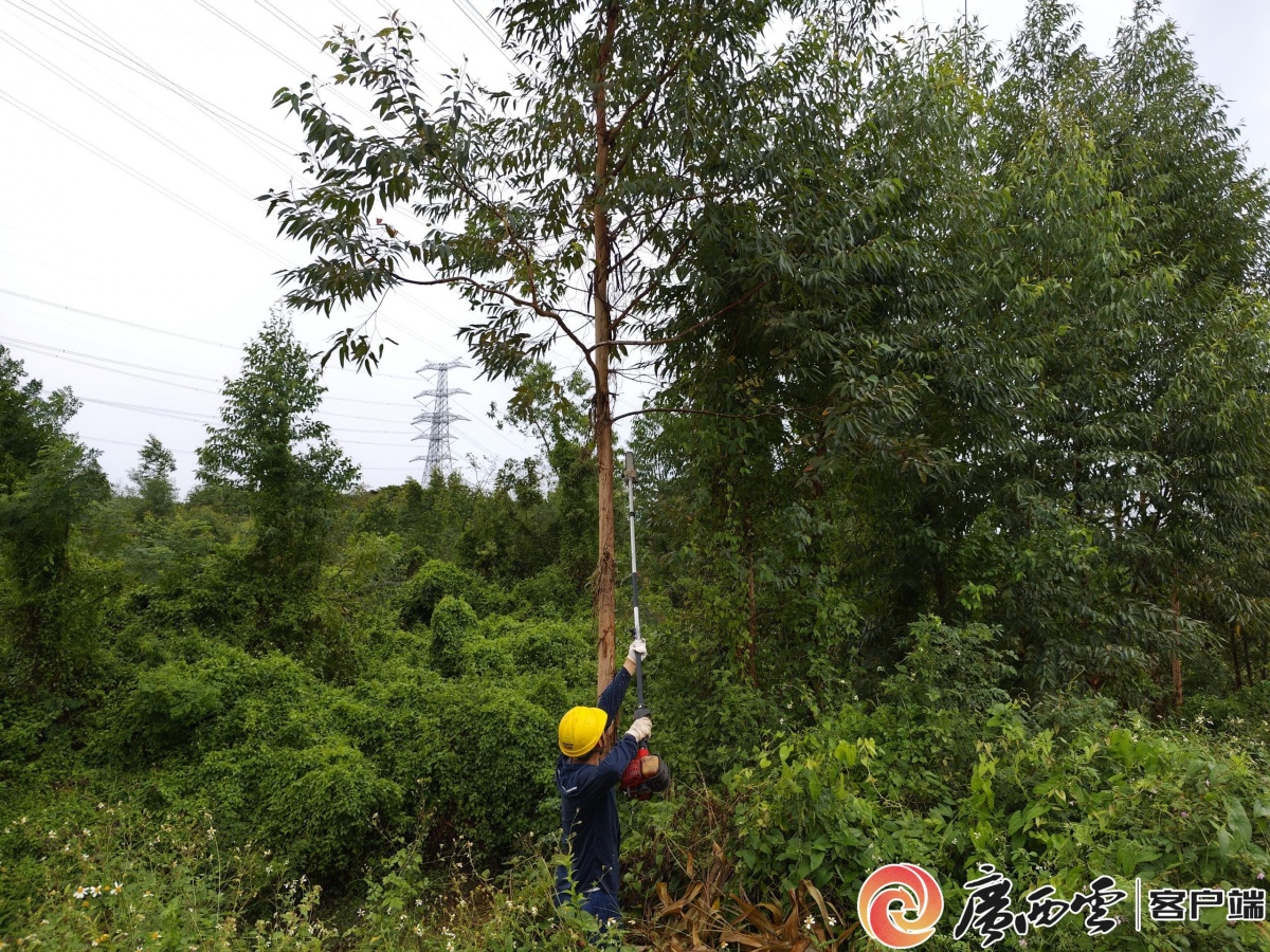 迎战“麦德姆”北海供电局启动防风防汛Ⅲ级响应600人应急抢修队伍已前置(图3)