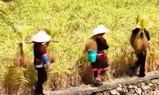 �»����עح������ʤ����կ��Ŵϲ�����