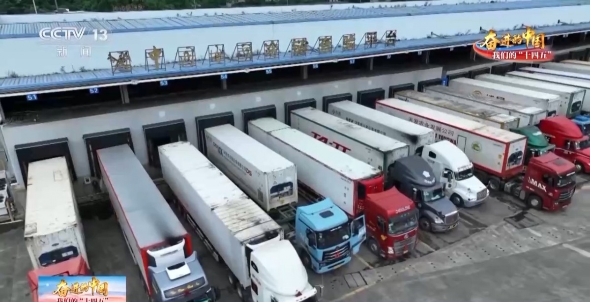 从东盟果园到你的果盘这条“甜蜜通道”太丝滑!