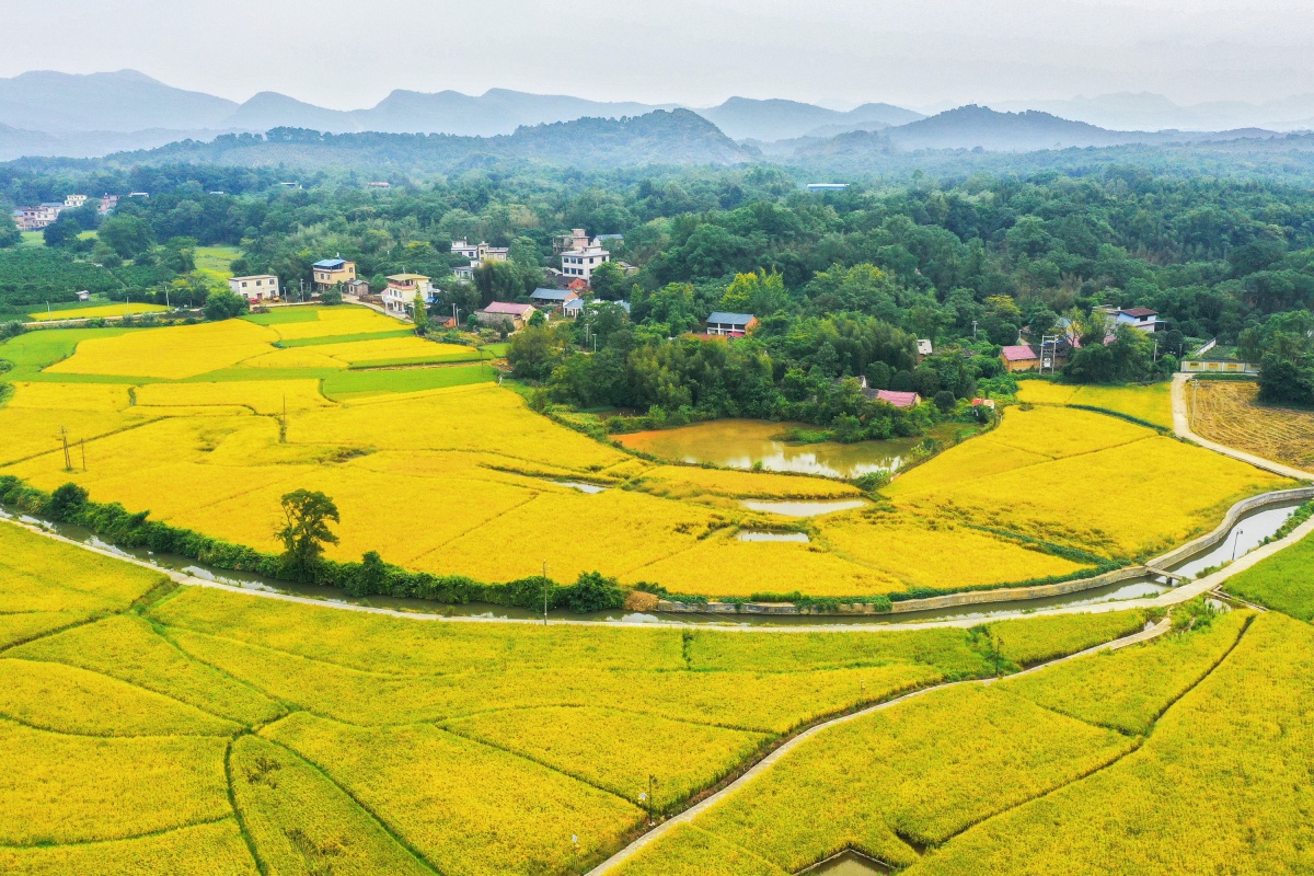 �����������������㡪�������й�����Ĺ���ʵ��