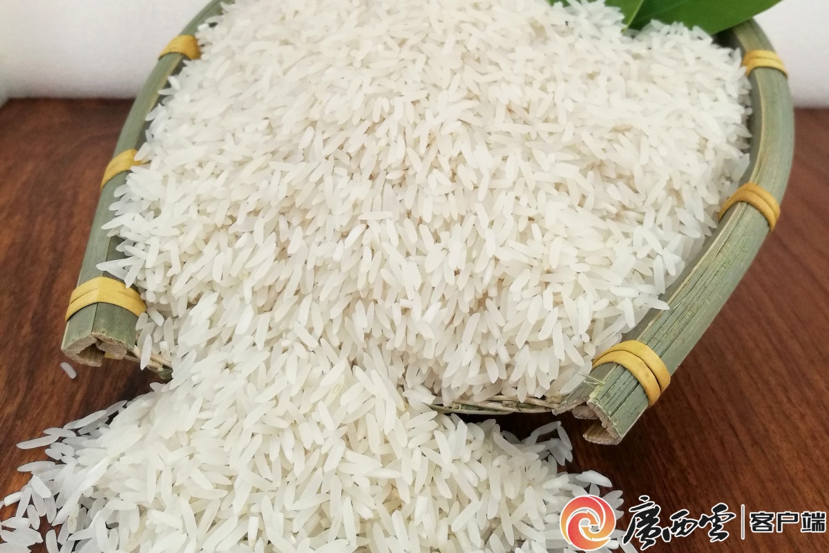 “粮”辰美景稻花香——端牢中国饭碗的广西实践(图2)