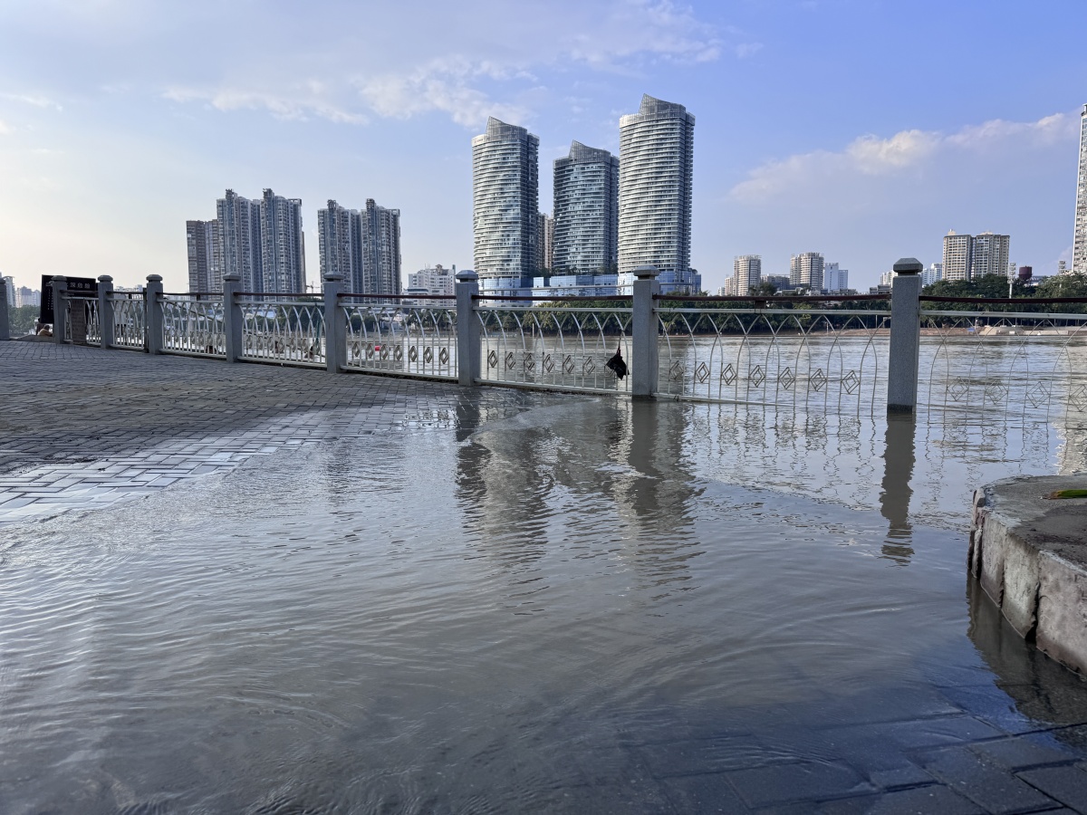 邕江又涨水！最高水位接近设防水位
